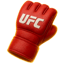 UFC icon